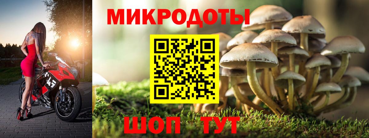 Галлюциногенные грибы ЛСД Октябрьский