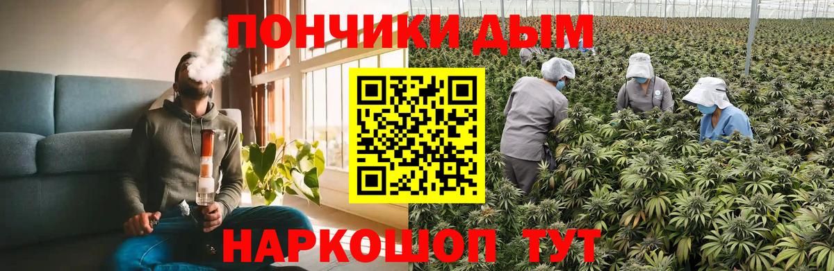 Марихуана семена Октябрьский